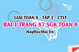 Giải bài 1 trang 87 Toán 8 Tập 1 SGK Chân trời sáng tạo